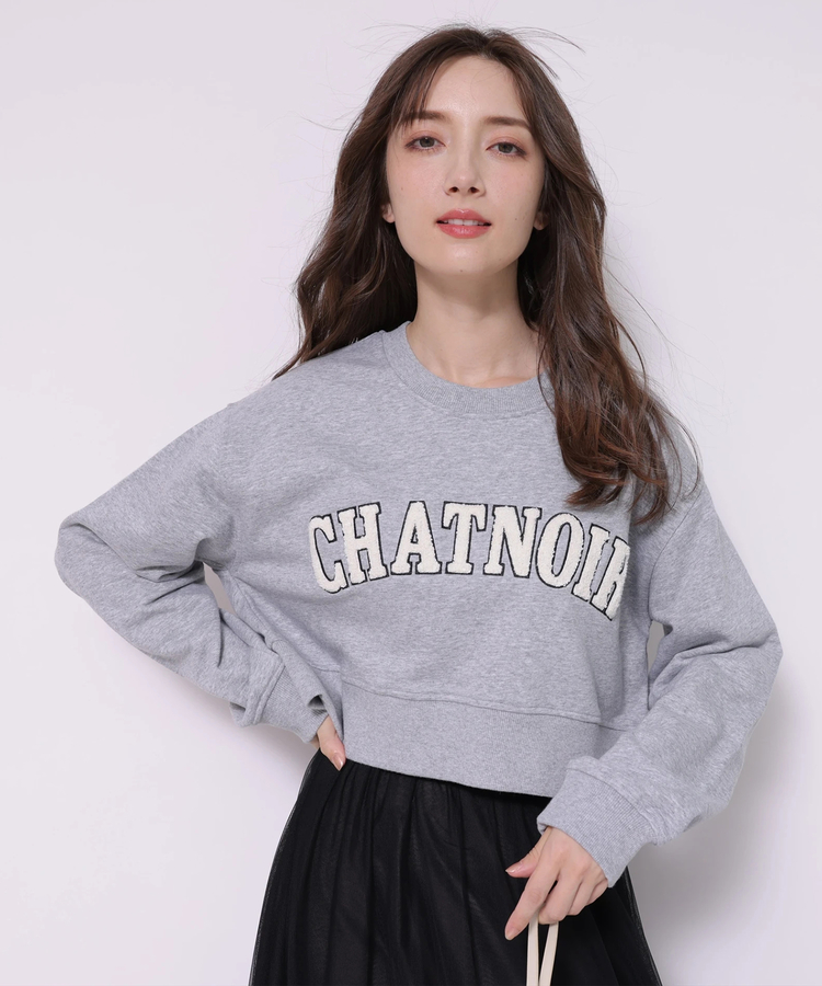 サガラ刺繍ロゴプルオーバー | Tシャツ・カットソー | Apuweiser-riche 