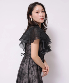 Apuweiser-riche(アプワイザー・リッシェ) |チュール刺繍ラッフルドレス