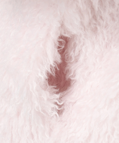 Apuweiser-riche(アプワイザー・リッシェ) |ファーブルゾン