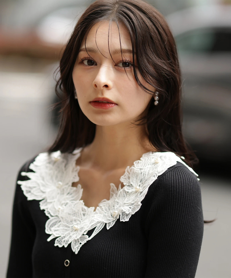 Apuweiser-riche(アプワイザー・リッシェ) |デコルテエンブロイダリーニット