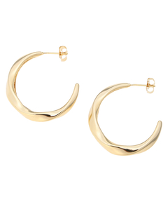 スワロガラスビジューイヤリング | ピアス・イヤリング | Arpege