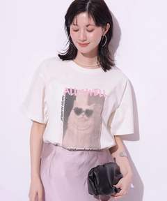 Tシャツ・カットソー 白 商品一覧（レディース） │【公式通販】Arpege