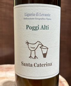 CADUNE WINE(カデュネ ワイン) |サンタカテリーナ/ ポッジアルティ/2020