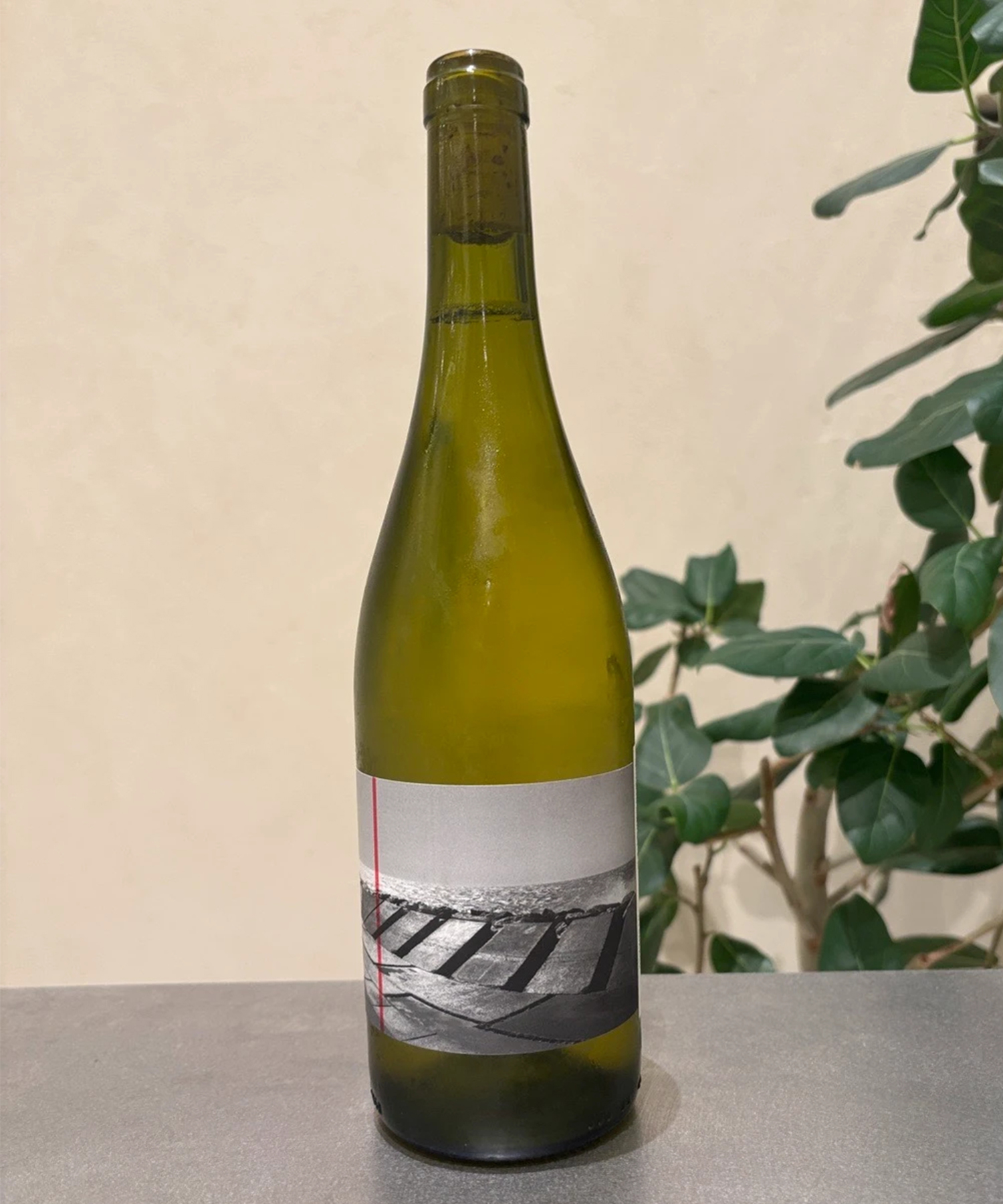 ネゴス デュ ブライ/防波堤/2023 | 酒類 | CADUNE WINE（カデュネ 