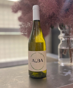 CADUNE WINE(カデュネ ワイン) |キュリナリーズ/アルバ/2021